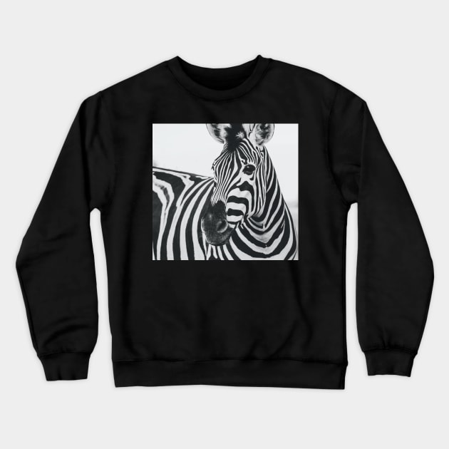 Everyone love zebra Crewneck Sweatshirt by djil13